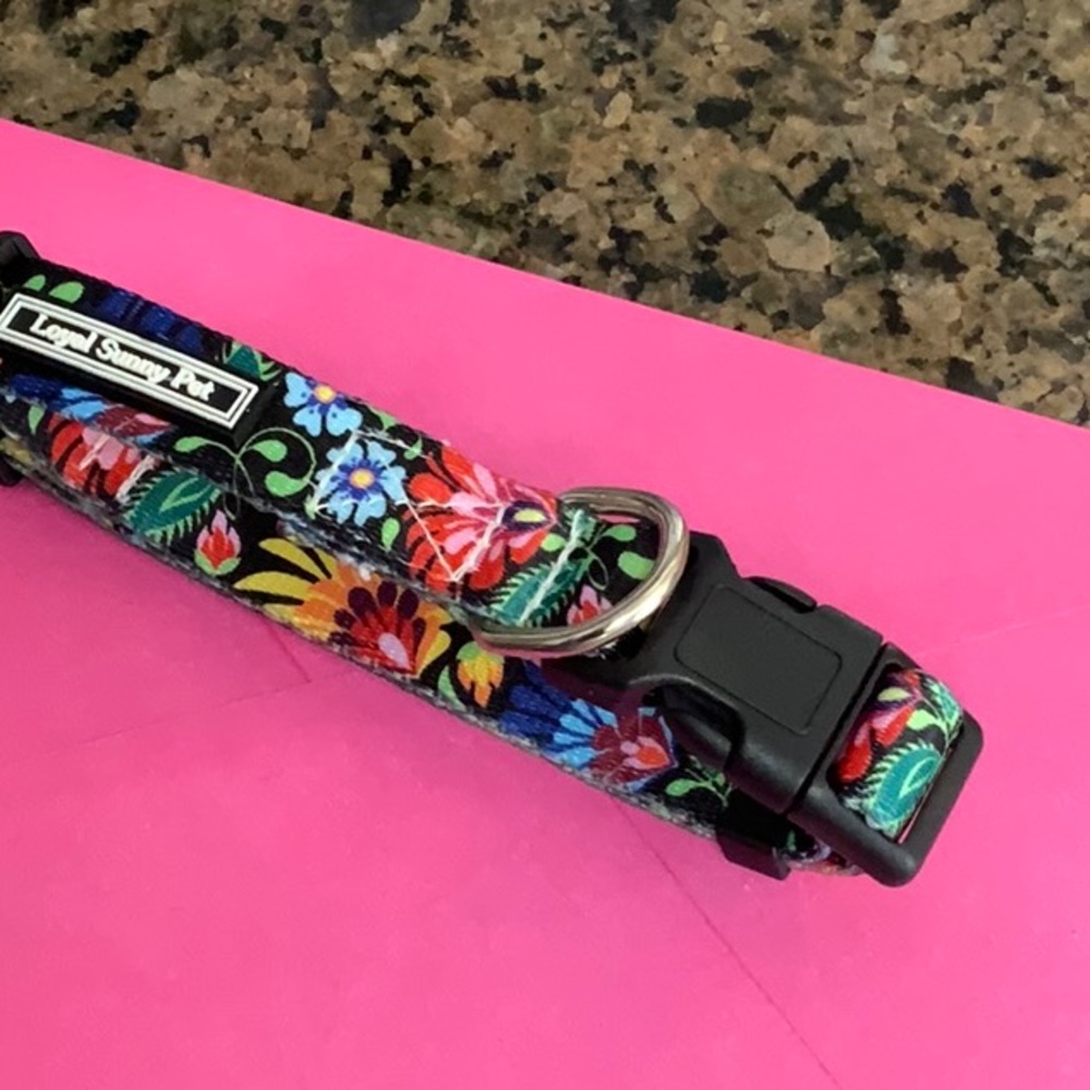 ❣️ Sunny Loyal Pet dog collar-like knew.